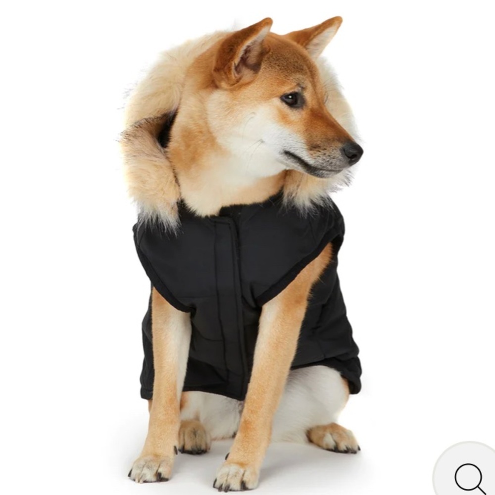 Pajar dog coat
